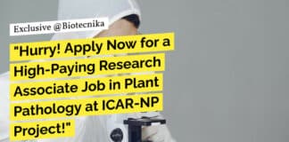 ICAR-IARI Bioinformatics Research Job - Attend Walk-In-Interview