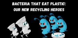 Bacteria That Eat Plastic