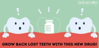 Grow Back Lost Teeth