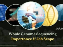 Whole Genome Sequencing Importance