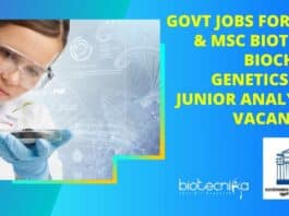 Govt Jobs For BSc