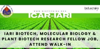 IARI Biotech Fellow Job