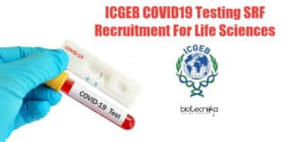 ICGEB COVID-19 Lab Jobs