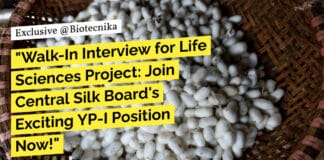 Govt Silk Board Vacancy - Life Sciences Project Recruitment - Walk-In Interview