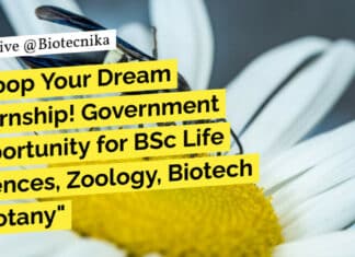 Govt Internship Life Sciences, Zoology, Biotech & Botany For BSc, Attend Walk-In-Interview