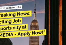 "Breaking News: Exciting Job Opportunity at HIMEDIA - Apply Now!"