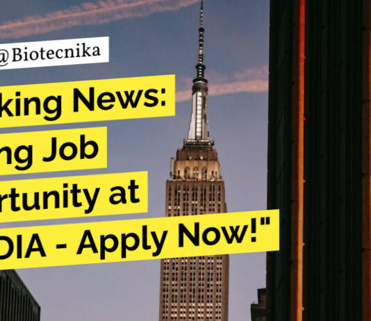 "Breaking News: Exciting Job Opportunity at HIMEDIA - Apply Now!"