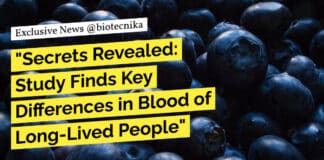 "Secrets Revealed: Study Finds Key Differences in Blood of Long-Lived People"