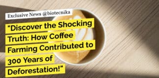 "Discover the Shocking Truth: How Coffee Farming Contributed to 300 Years of Deforestation!"