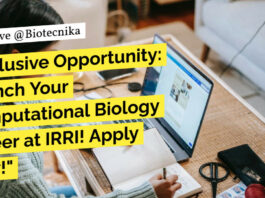 "Exclusive Opportunity: Launch Your Computational Biology Career at IRRI! Apply Now!"