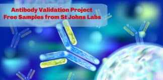 Antibody Validation Project | Free Samples from St Johns Labs