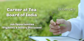 Career At Tea Board of India - Job Opportunities, Eligibility & Salary Discussed