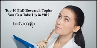 Top 10 PhD Research Topics You Can Take Up in 2019